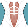 ֻapp- v3.1.0 ׿