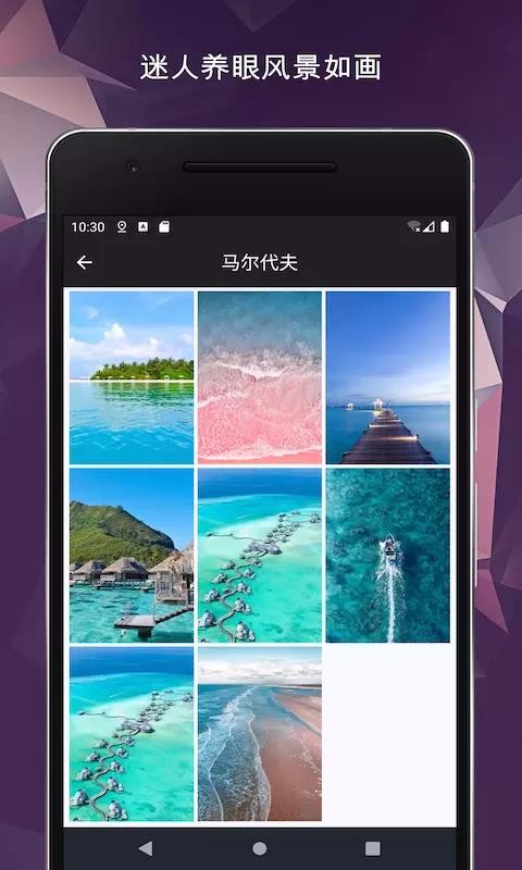 ֽȫ-ֻ⶯̬ǽֻֽapp-ֽȫ-ֻ⶯̬ǽֽ v1.9.3 ׿