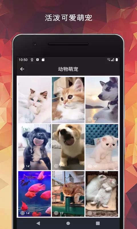 ֽȫ-ֻ⶯̬ǽֻֽapp-ֽȫ-ֻ⶯̬ǽֽ v1.9.3 ׿