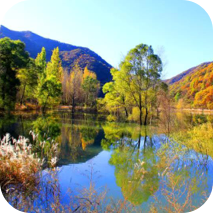 ֻapp- v1.1.6 ֻ