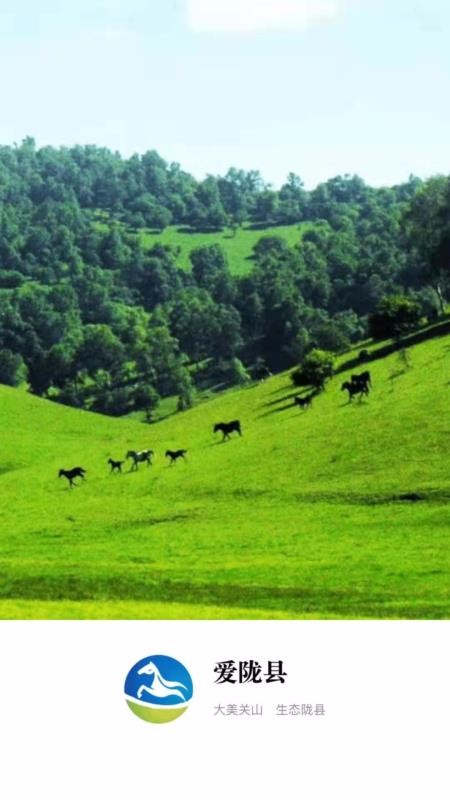 ¤ֻapp-¤ v1.1.4 ׿