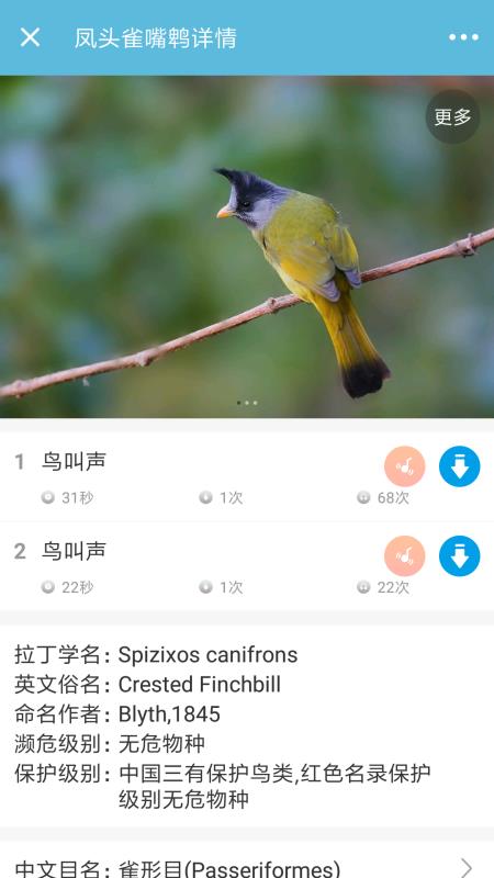 ȫֻapp-ȫ v3.5.0 ֻ
