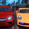 ʵʻģrealdrivingsim2019v4.8